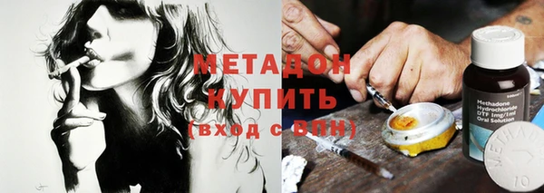 прущие грибы Абаза