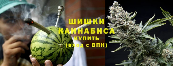прущие грибы Абаза