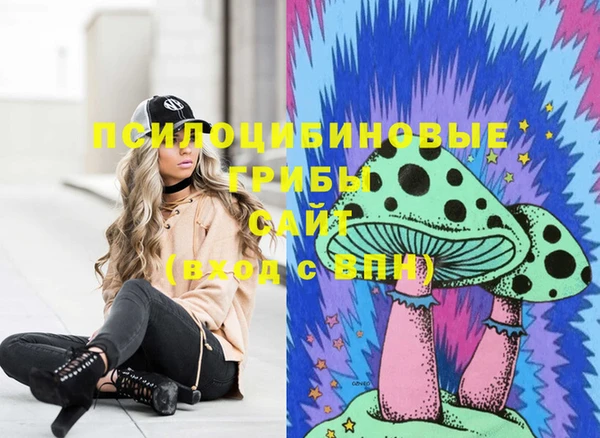 шишки Абинск