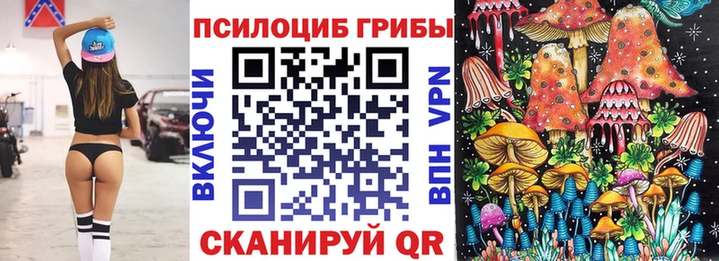 Галлюциногенные грибы прущие грибы  купить наркоту  ОМГ ОМГ ТОР  Дрезна 